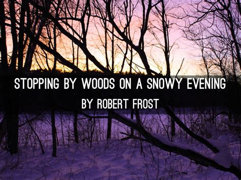 Stopping By Woods On A Snowy Evening By Elisoomie