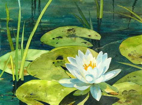 Elaine Ferdinandi Watercolor Water Lilies Painting Lotus Painting