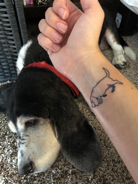 Hound Tattoo Idea From Twitter Dog Outline Tattoo Outline Outline