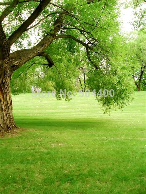 5x10ft Flowers Photo Background Trees Garden Loft Wedding Photography