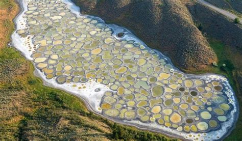 8 Fascinating Facts About Spotted Lake Kliluk Canada Mysterious