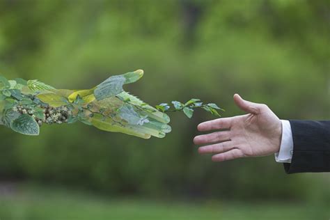 De Que Maneira As Instituições E Organizações Supranacionais Atuam