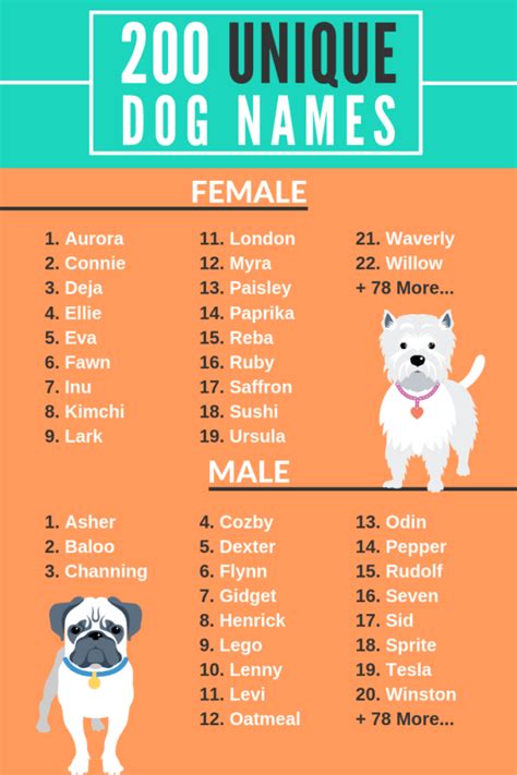 Nice Dog Names