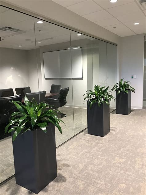Indoor Plants And Decorative Planters For Offices In Memphis Tn