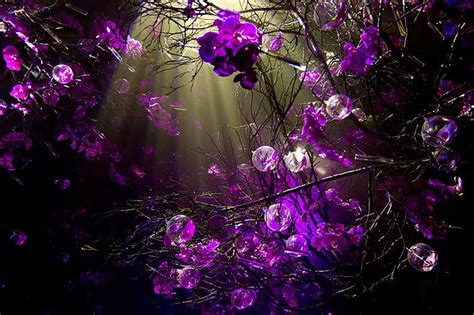 Purple Screensavers And Wallpaper (67+ images)