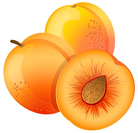 Georgia Peach Clipart Free Download On Clipartmag