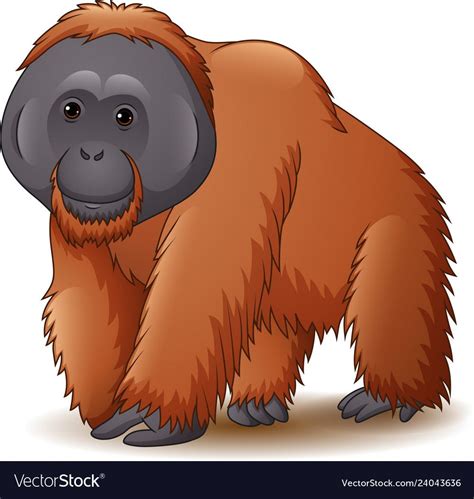 Orangutan Drawing