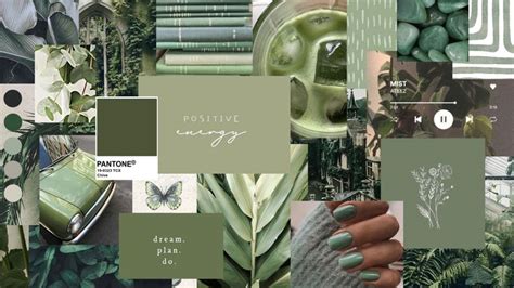 Sage Green Aesthetic Desktop Collage Iphone Wallpaper Green Cute
