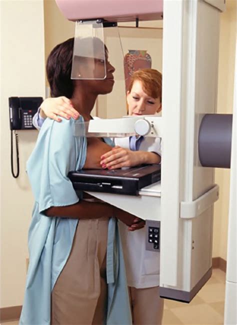 We did not find results for: Mammogram Screening for Breast Cancer - American Family ...
