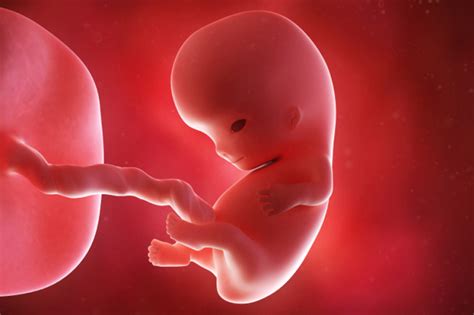 9 Weeks Pregnant Your Pregnancy Week By Week The New One