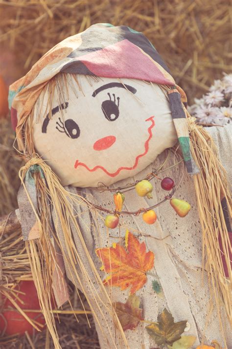 Cute Scarecrow Free Stock Photo Public Domain Pictures