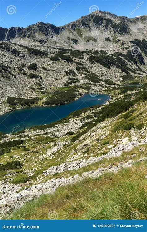 Paysage De Dalgoto Le Long Lac Montagne De Pirin Bulgarie Image Stock