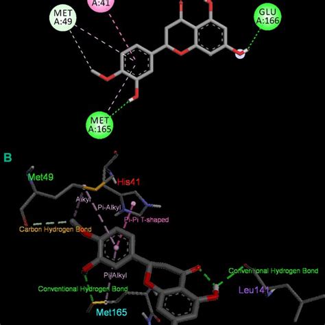 2D A And 3D B Docked Pose Depiction Of Hesperetin Compound