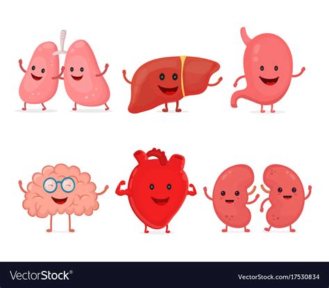 Cute Smiling Happy Human Healthy Strong Organs Set