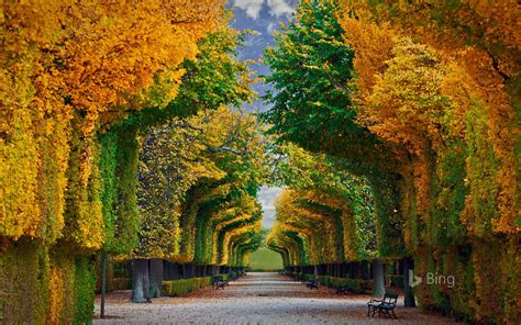 20 Bing Autumn Landscapes Images Wallpapers Autumn Landscape