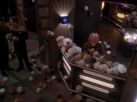 Pair Of Tribbles From Trials And Tribble Ations Episode Of Star Trek