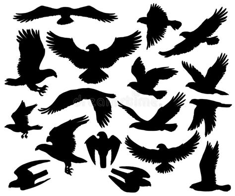 Eagle Falcon Silhouettes Set Stock Illustrations 193 Eagle Falcon