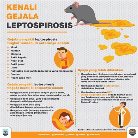 Cegah Leptospirosis Pemprov Kaltara Berikan Bantuan Rdt