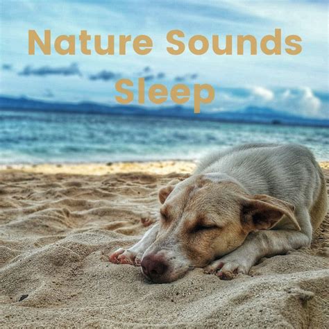 Nature Sounds Sleep Playlist By Little Symphony Sounds Spotify