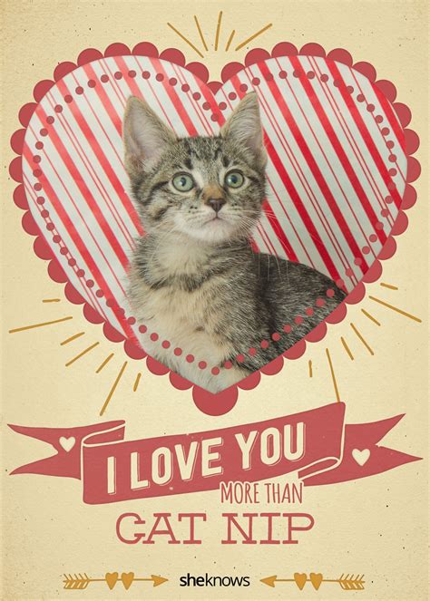 12 Kitty Cat Valentines Day Cards That Will Make You Aww Valentines