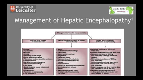 Management Of Hepatic Encephalopathy In Minutes Youtube