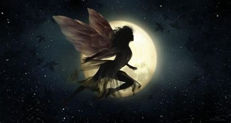 Fairies Images Night Fairy Hd Wallpaper And Background Photos 39893941