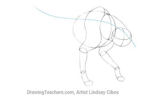 This week i have some tips on drawing a realistic cheetah in graphite. How to Draw a Cheetah Step by Step