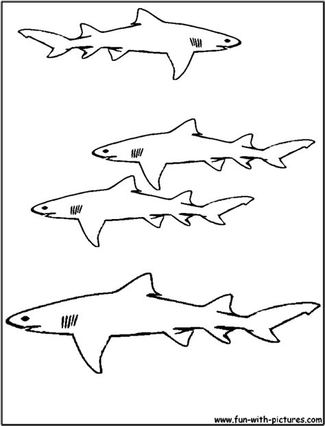Great White Shark Coloring