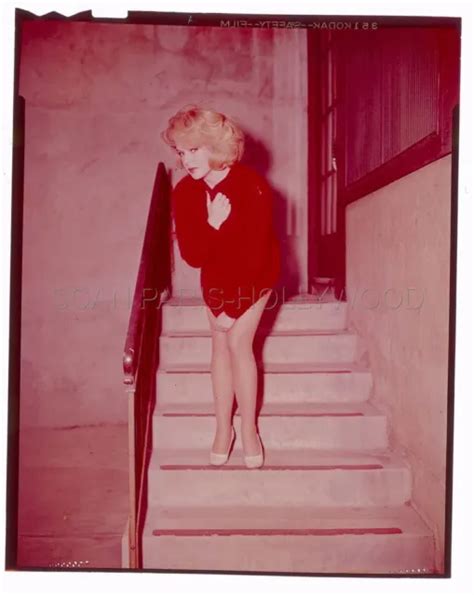 SEXY JOEY HEATHERTON Where Love Has Gone 1964 Original Transparency 4