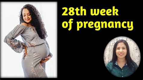 Weeks Fetal Development Hot Sex Picture