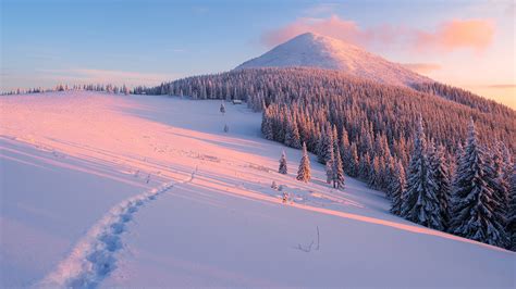Desktop Hintergrundbilder Natur Winter Gebirge Fichten 1920x1080