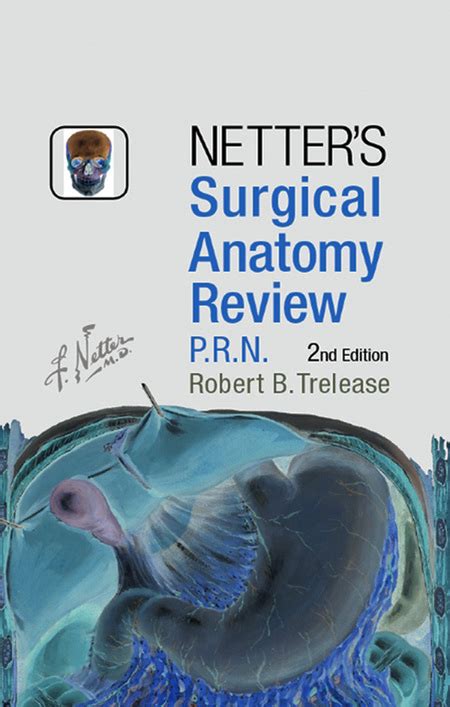 Solution Netters Surgical Anatomy Review Studypool