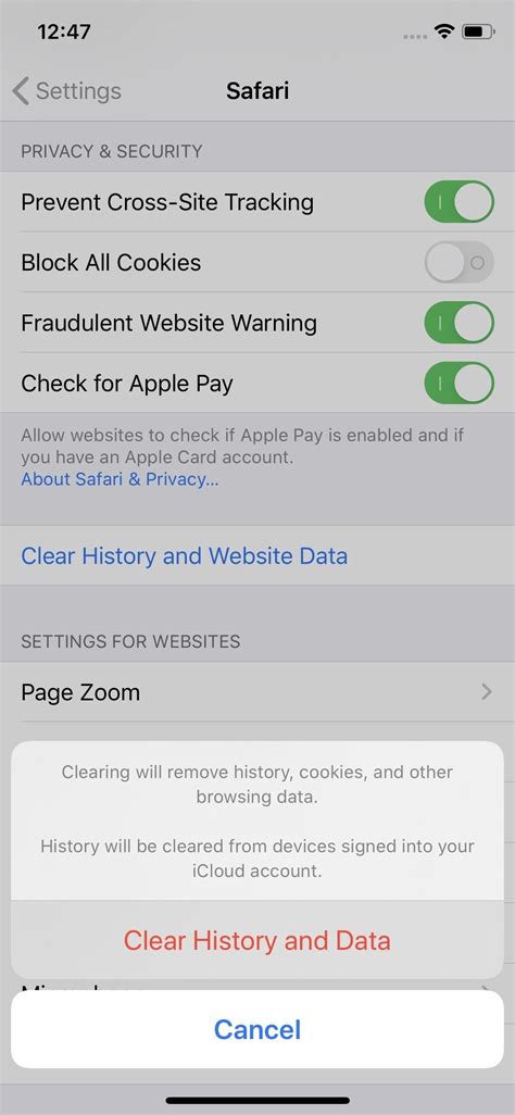 24 Safari Privacy Settings You Need To Check On Your Iphone Ios
