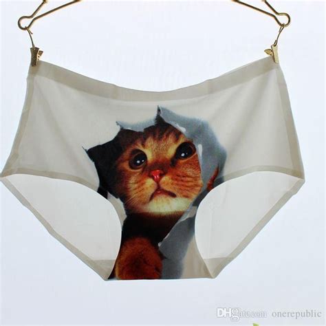 Pin On Cat Underwear