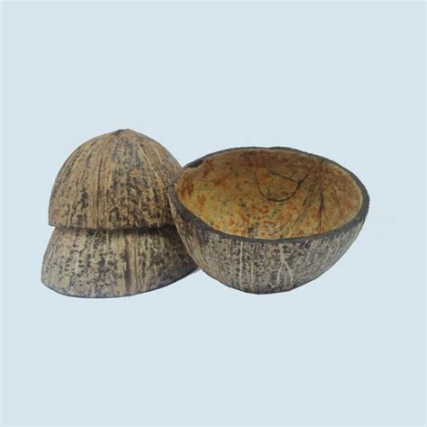 03pcs Coconut Shell Half 100 Natural Etsy