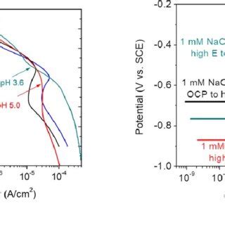 Potentiodynamic Polarization Scans Used As Input Boundary Conditions