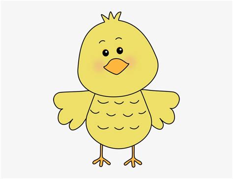 Cute Baby Birds Images Clipart