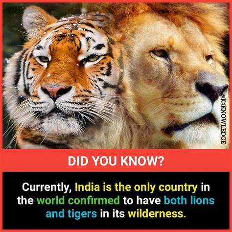 New Amazing Facts Collection Download With Images
