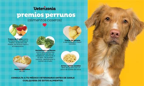 Intencional Castillo Relé Como Hacer Comida Saludable Para Perros