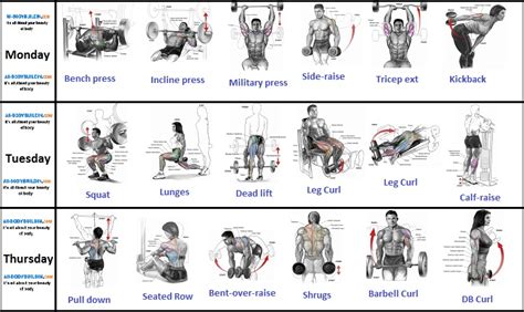We did not find results for: Fast Muscle Building - A 3-Day, Full-Body Workout Plan For ...