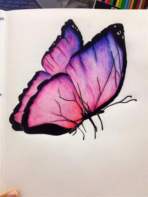 Beautiful Butterfly Drawing Picture Colorbutterflydrawing