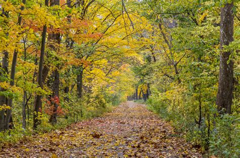 This Charming Town In Southeast Ohio Features Fall Colors Around Mid