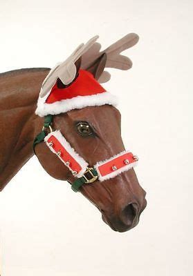 We did not find results for: Pin on Horses
