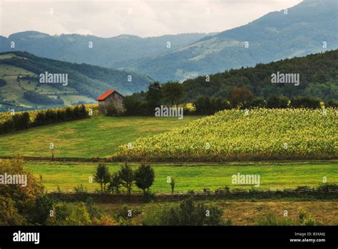 Serbian Countryside And Mountains Near Valjevo West Serbia Stock