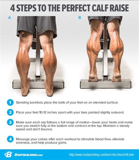 4 Steps To The Perfect Calf Raise Gym Workout Chart Gym Workout Tips