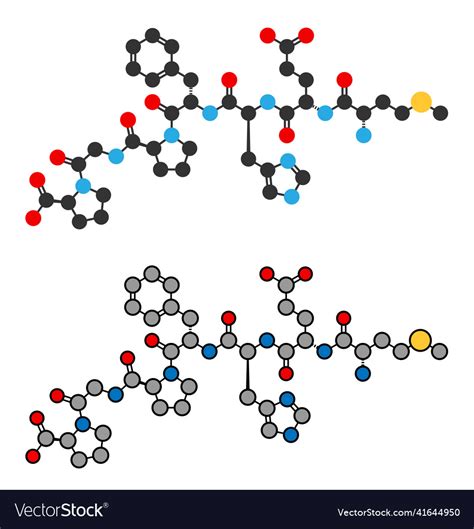 Semax Peptide Drug Molecule Royalty Free Vector Image