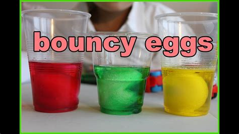 How To Make Bouncy Eggs Fun And Easy Science Experiment