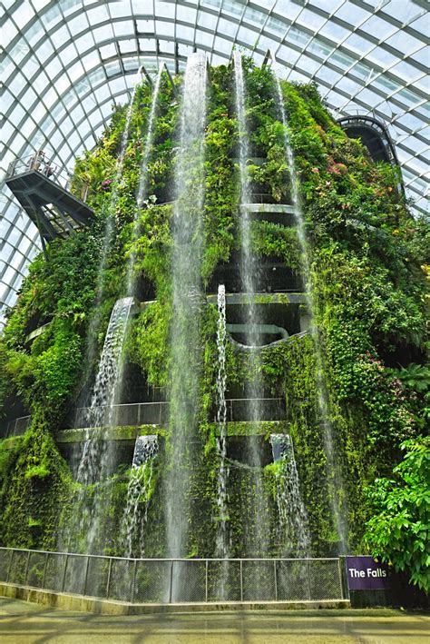 2023新加坡滨海湾花园游玩攻略这座位于市中心的超级花园以1【去哪儿攻略】