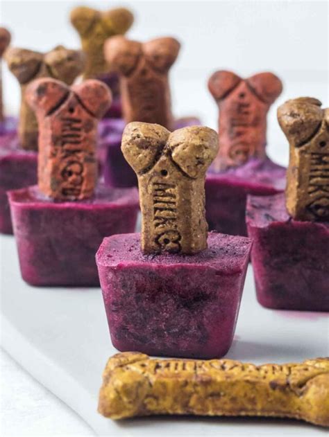 Easy Blueberry Dog Popsicles Recipe Spoiled Hounds