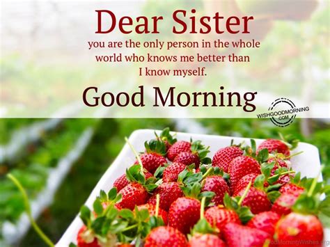 Beautiful good morning images,good morning quotes, wishes, messages images 2019. Good Morning Images with Rose Flowers, Cups, Nature for ...